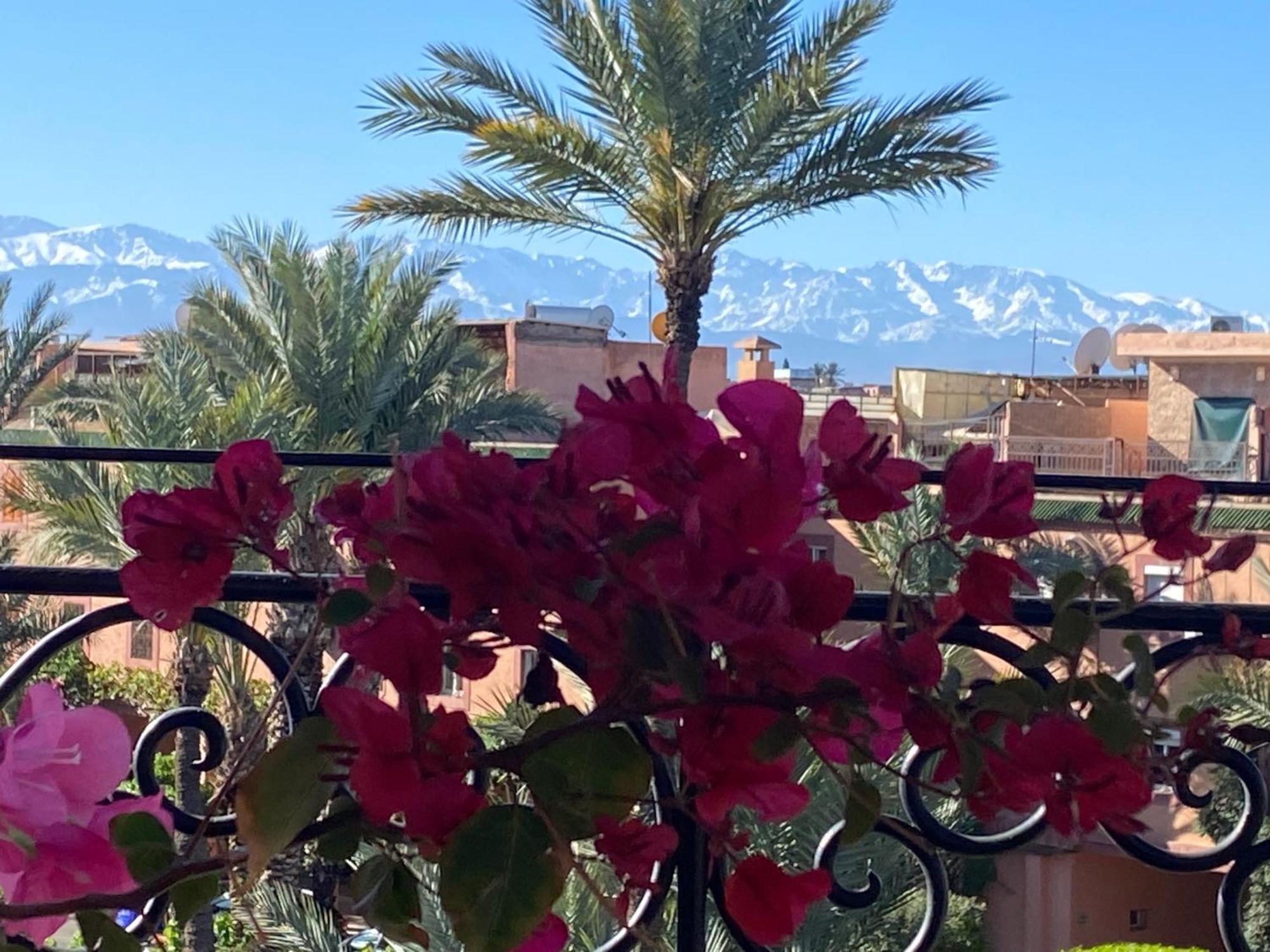 Riad Palmier Fleuri Marrakesh Eksteriør billede