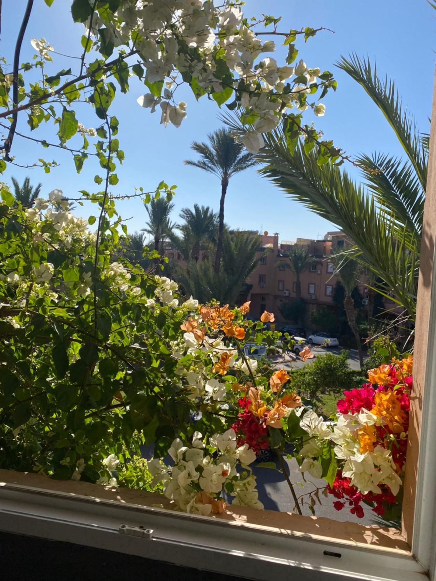 Riad Palmier Fleuri Marrakesh Eksteriør billede
