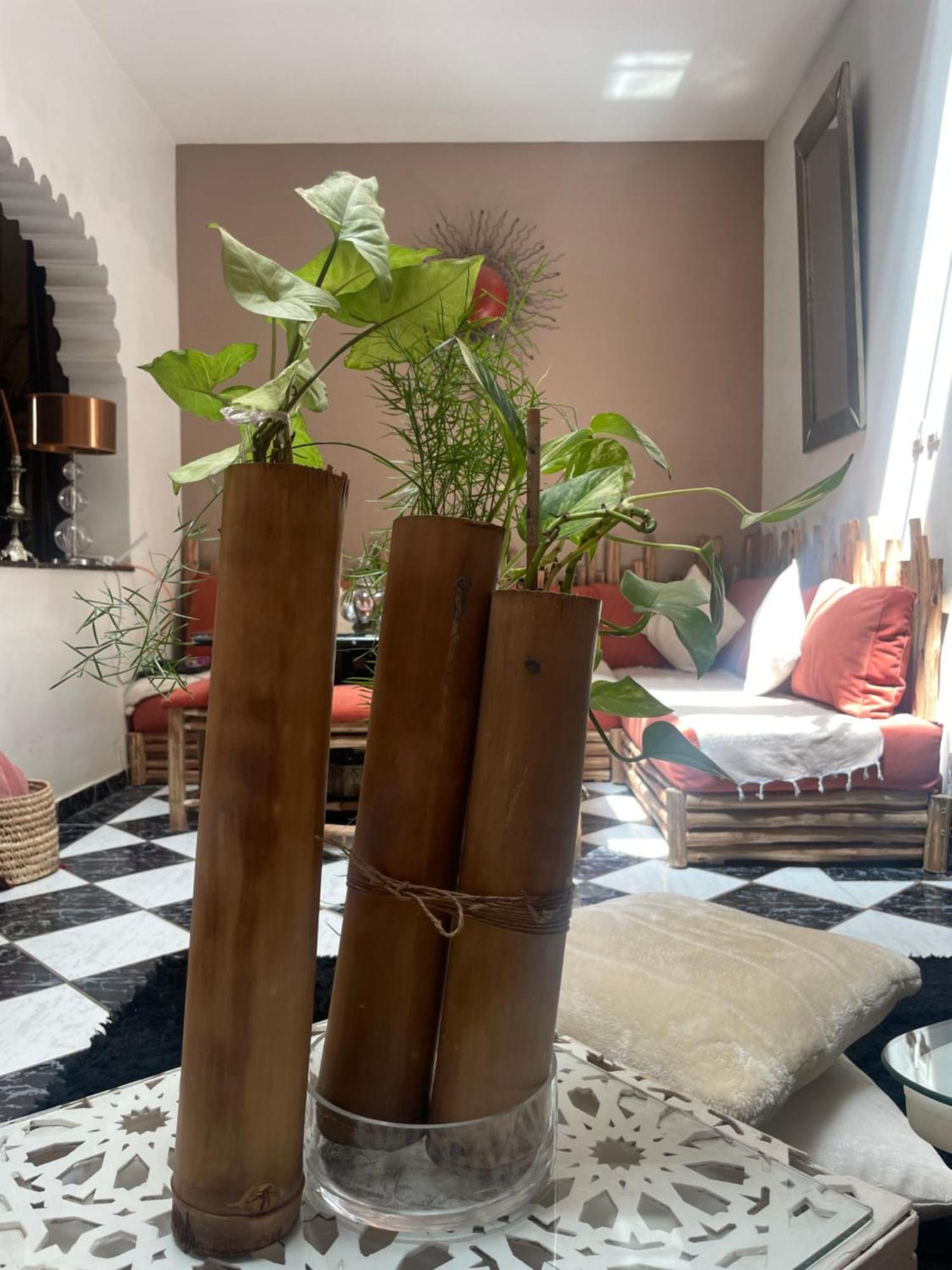Riad Palmier Fleuri Marrakesh Eksteriør billede